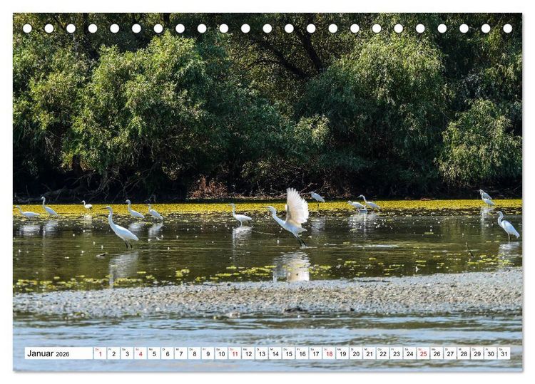 Produktbild: Rund um das Donaudelta (Tischkalender 2026 DIN A5 quer), CALVENDO Monatskalender