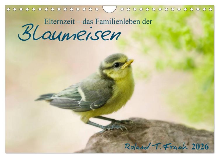 Produktbild: Elternzeit - das Familienleben der Blaumeisen (Wandkalender 2026 DIN A4 quer), CALVENDO Monatskalender