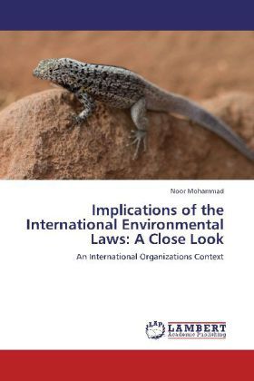 Produktbild: Mohammad, N: Implications of the International Environmental