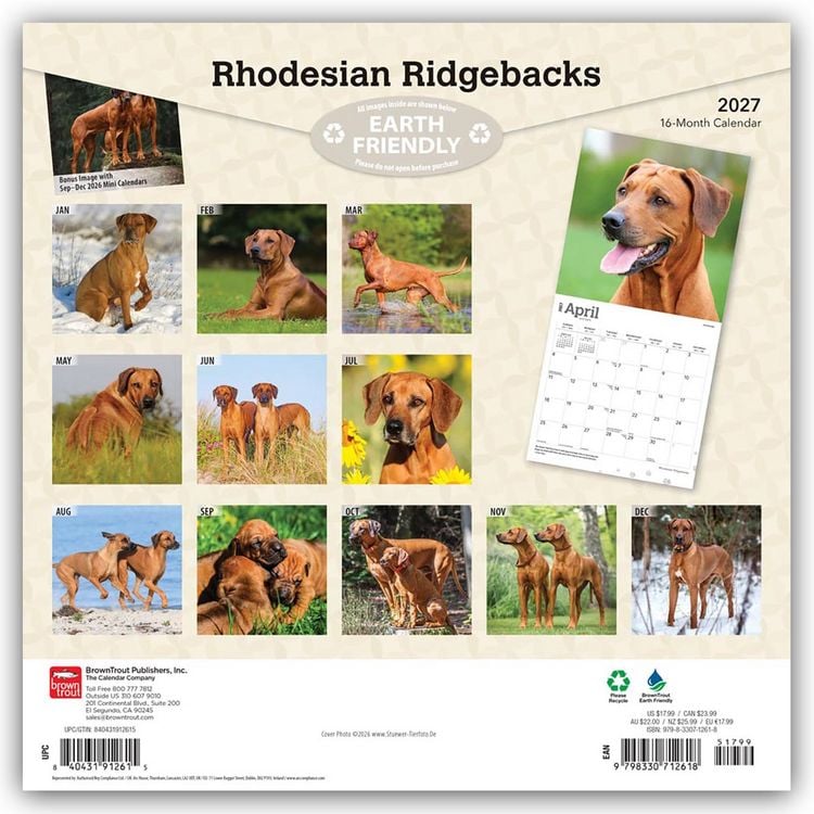 Produktbild: Rhodesian Ridgebacks &ndash; Rhodesian Ridgeback 2027 &ndash; 16-Monatskalender