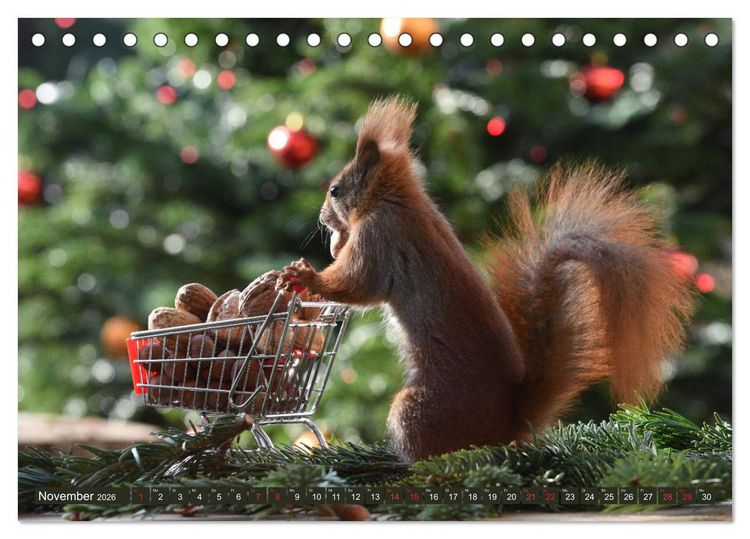 Produktbild: Neuer Spa&szlig; mit Eichh&ouml;rnchen-Kindern (Tischkalender 2026 DIN A5 quer), CALVENDO Monatskalender