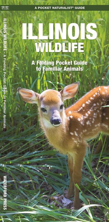 Produktbild: Illinois Wildlife