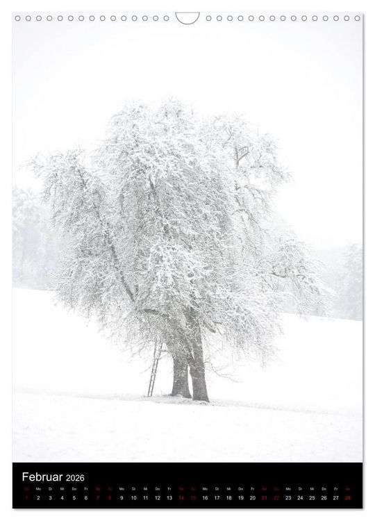 Produktbild: B&auml;ume - Stilles Leben (Wandkalender 2026 DIN A3 hoch), CALVENDO Monatskalender