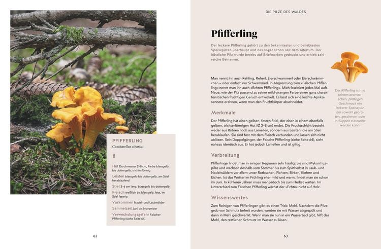 Produktbild: Abenteuer Wald