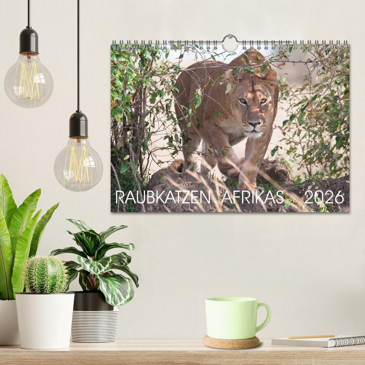 Produktbild: Raubkatzen Afrikas (Wandkalender 2026 DIN A4 quer), CALVENDO Monatskalender