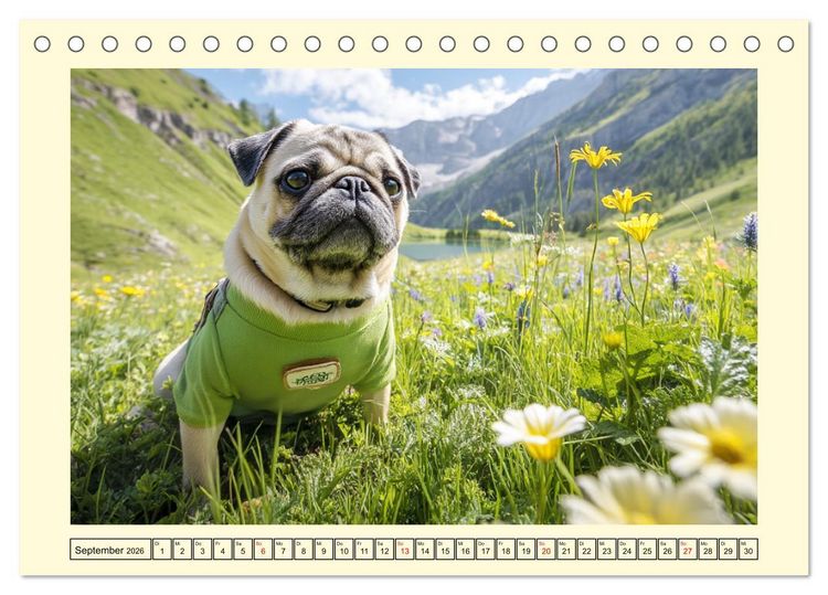 Produktbild: Mops trifft Berglust. Fidele Gipfelst&uuml;rmer im H&ouml;henrausch (Tischkalender 2026 DIN A5 quer), CALVENDO Monatskalender