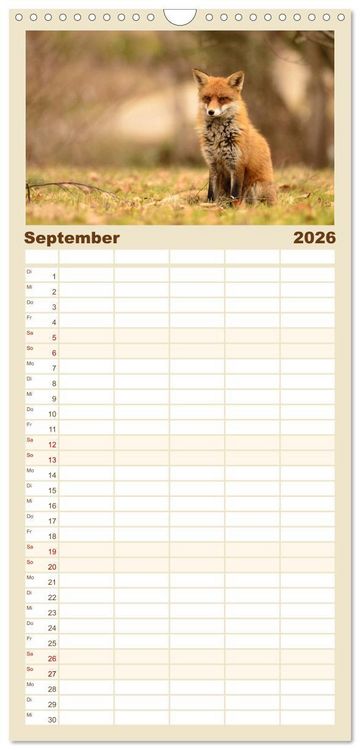 Produktbild: Familienplaner 2026 - Auf den Spuren der Stadtf&uuml;chse mit 5 Spalten (Wandkalender, 21 x 45 cm) CALVENDO