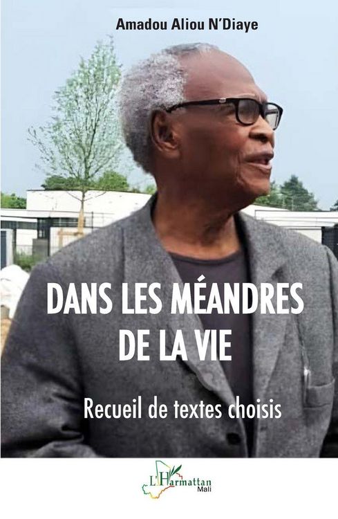 Produktbild: Dans les m&eacute;andres de la vie