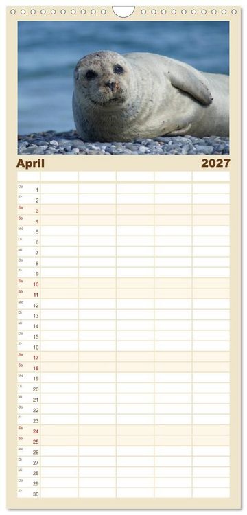 Produktbild: Familienplaner 2027 - Das Leben der Robben mit 5 Spalten (Wandkalender, 21 x 45 cm) CALVENDO