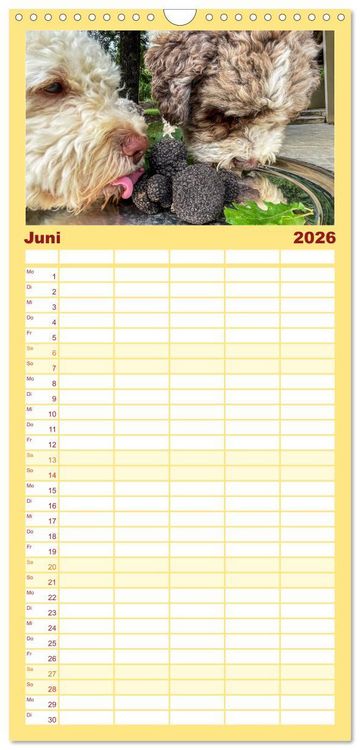Produktbild: Familienplaner 2026 - Franz&ouml;sische Tr&uuml;ffelwelten mit 5 Spalten (Wandkalender, 21 x 45 cm) CALVENDO