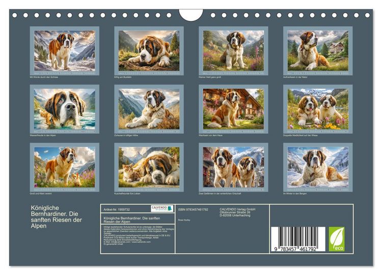 Produktbild: K&ouml;nigliche Bernhardiner. Die sanften Riesen der Alpen (Wandkalender 2026 DIN A4 quer), CALVENDO Monatskalender