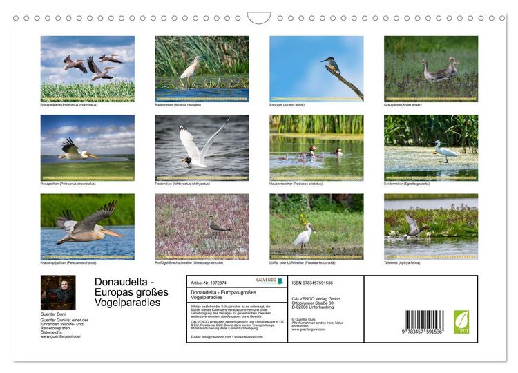 Produktbild: Donaudelta - Europas gro&szlig;es Vogelparadies (Wandkalender 2026 DIN A3 quer), CALVENDO Monatskalender