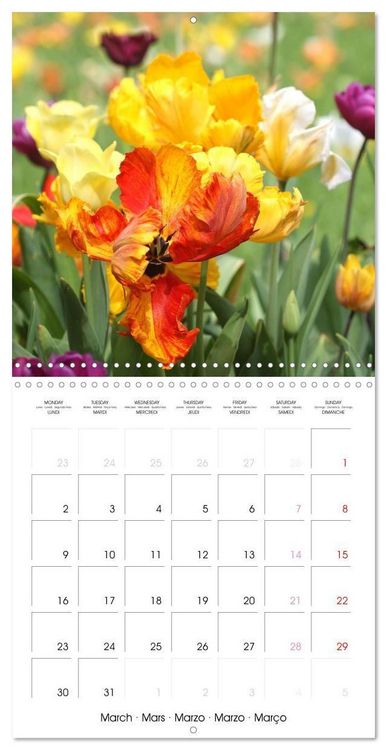 Produktbild: Kruse, G: Printemps toute l'ann&eacute;e (Calendrier mural carr&eacute; 20
