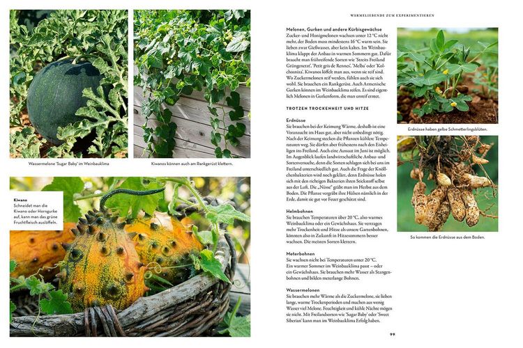 Produktbild: Trockenhelden im Gem&uuml;sebeet