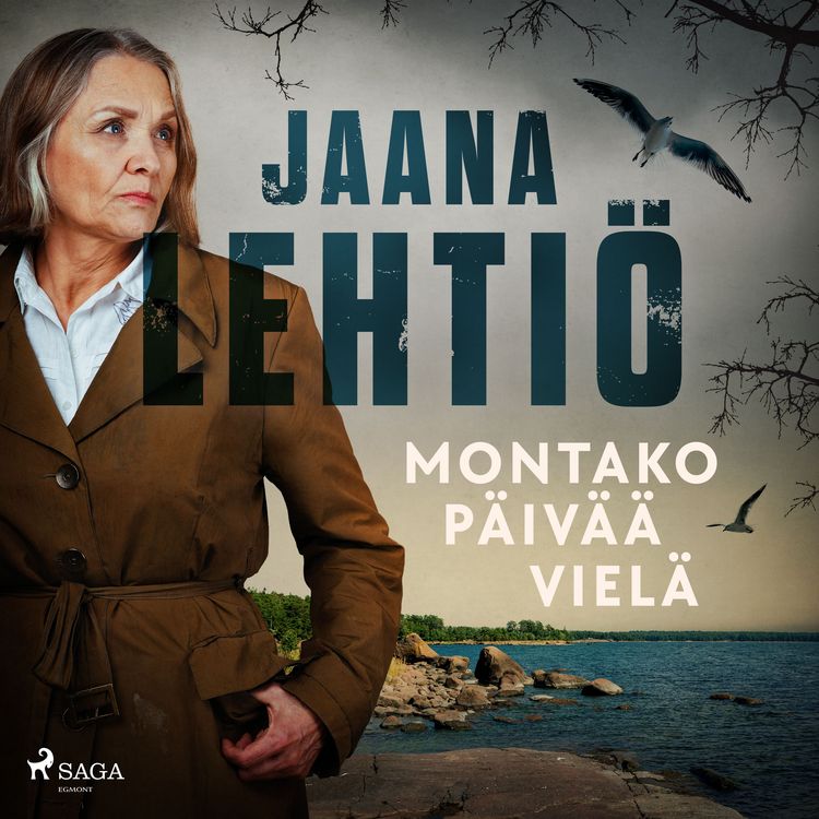 Produktbild: Montako p&auml;iv&auml;&auml; viel&auml;