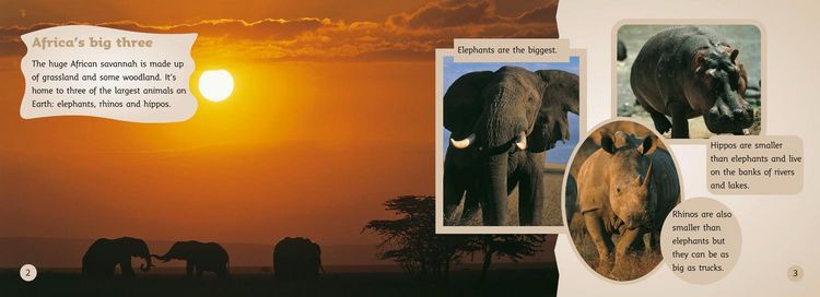 Produktbild: Africa's Big Three