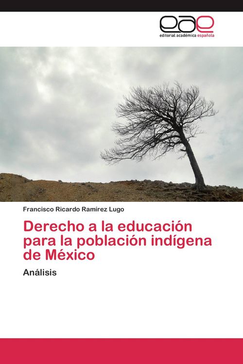 Produktbild: Derecho a la educaci&oacute;n para la poblaci&oacute;n ind&iacute;gena de M&eacute;xico