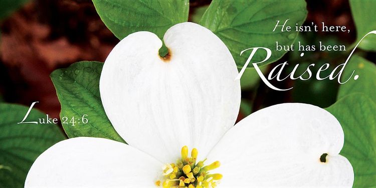 Produktbild: Raised Easter Dogwood Offering Envelope 2013 (Package of 50)