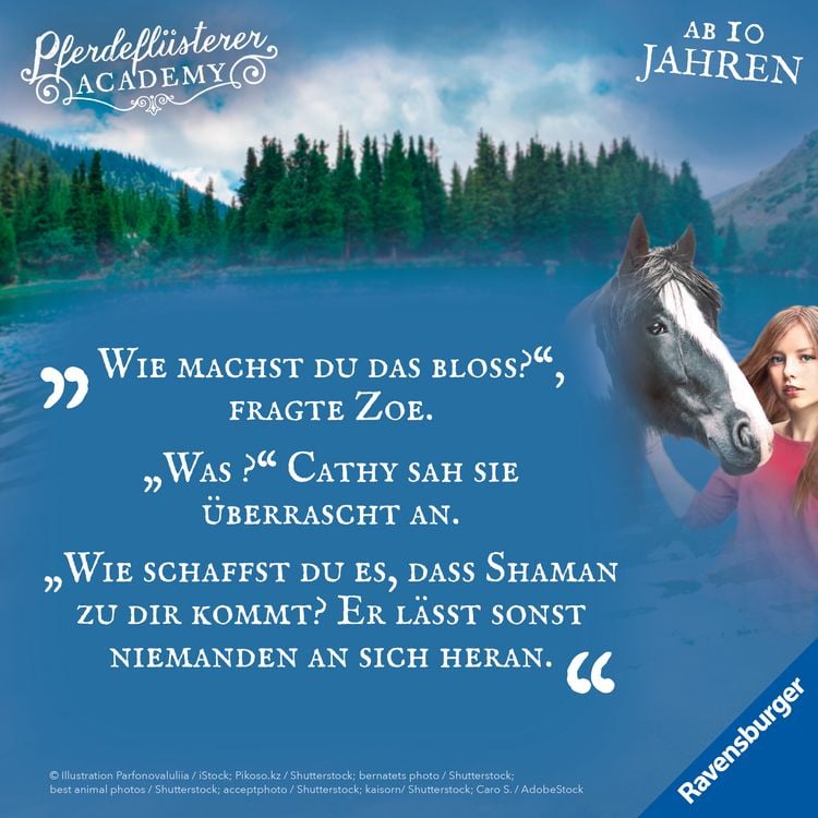 Produktbild: Pferdefl&uuml;sterer-Academy, Band 4: Verletztes Vertrauen