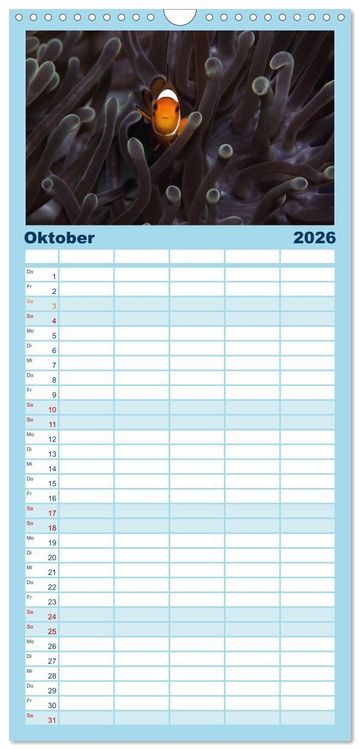 Produktbild: Familienplaner 2026 - Tauchen, Fische und Meer mit 5 Spalten (Wandkalender, 21 x 45 cm) CALVENDO