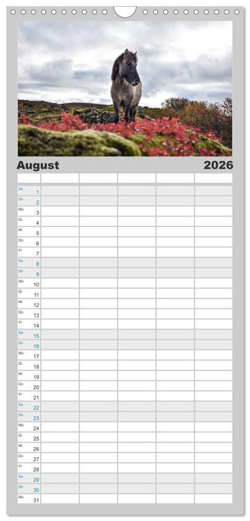 Produktbild: Familienplaner 2026 - Islandpferde Kalender - Pferde von der Insel aus Feuer und Eis mit 5 Spalten (Wandkalender, 21 x 45 cm) CALVENDO