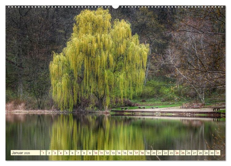 Produktbild: B&auml;ume, der Atem der Natur (Wandkalender 2026 DIN A2 quer), CALVENDO Monatskalender