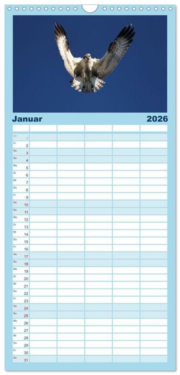 Produktbild: Familienplaner 2026 - Fischadler - Meister des Sturzfluges mit 5 Spalten (Wandkalender, 21 x 45 cm) CALVENDO