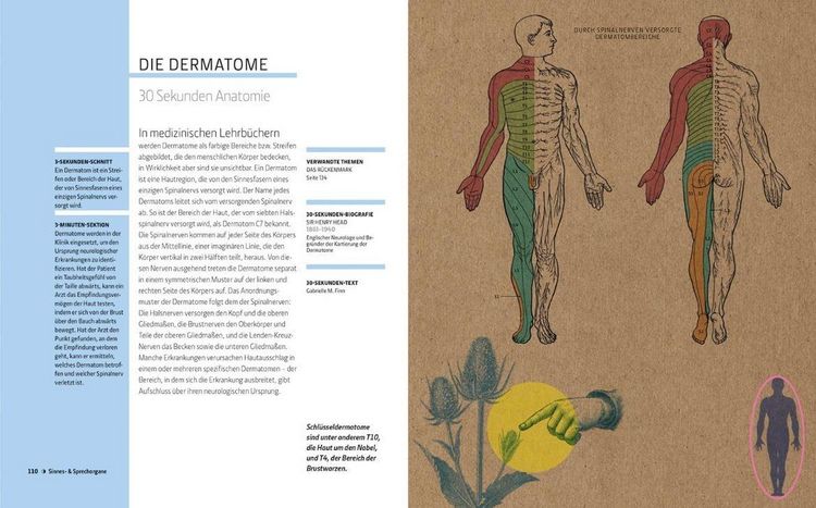 Produktbild: Anatomie und Medizin in 30 Sekunden