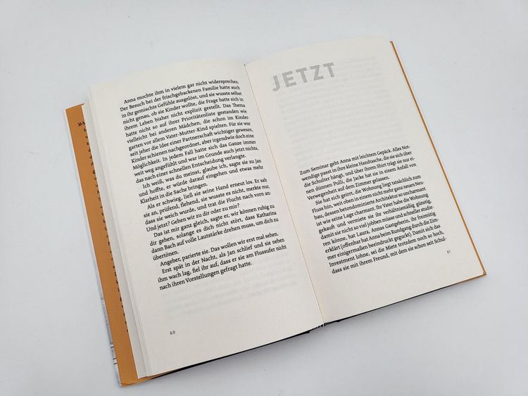 Produktbild: Manchmal fliegen