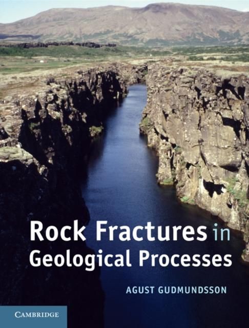 Produktbild: Rock Fractures in Geological Processes