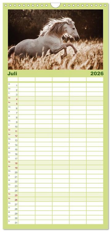 Produktbild: Familienplaner 2026 - Die Faszinierende Welt der Pferde mit 5 Spalten (Wandkalender, 21 x 45 cm) CALVENDO