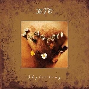 Produktbild: Skylarking (Corrected Polarity)