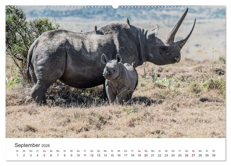Produktbild: Kenia - Eine Safari durch unber&uuml;hrte Natur. (Wandkalender 2026 DIN A2 quer), CALVENDO Monatskalender
