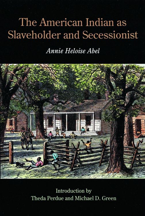 Produktbild: The American Indian as Slaveholder and Secessionist