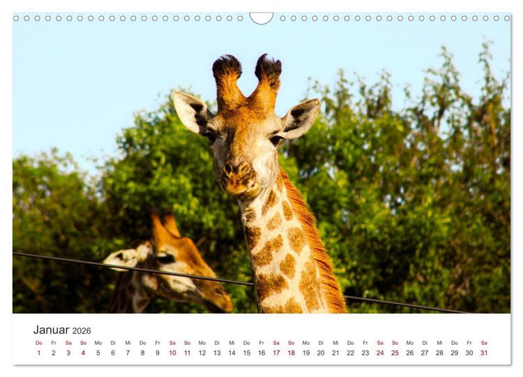 Produktbild: Mosambik - Eine Perle im S&uuml;den Afrikas. (Wandkalender 2026 DIN A3 quer), CALVENDO Monatskalender