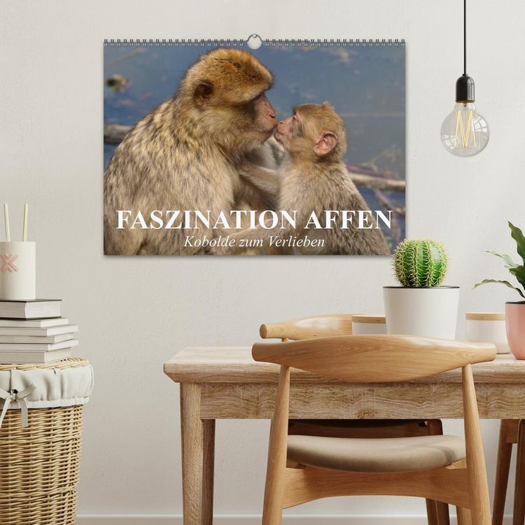 Produktbild: Faszination Affen. Kobolde zum Verlieben (Wandkalender 2026 DIN A3 quer), CALVENDO Monatskalender