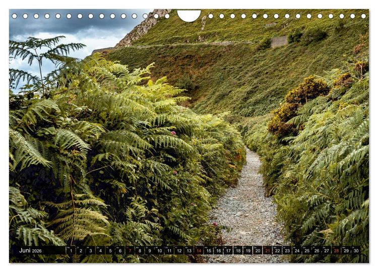 Produktbild: Irland-Liebe (Wandkalender 2026 DIN A4 quer), CALVENDO Monatskalender