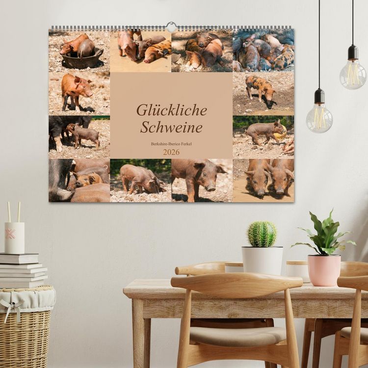 Produktbild: Gl&uuml;ckliche Schweine Berkshire-Iberico Ferkel (Wandkalender 2026 DIN A2 quer), CALVENDO Monatskalender