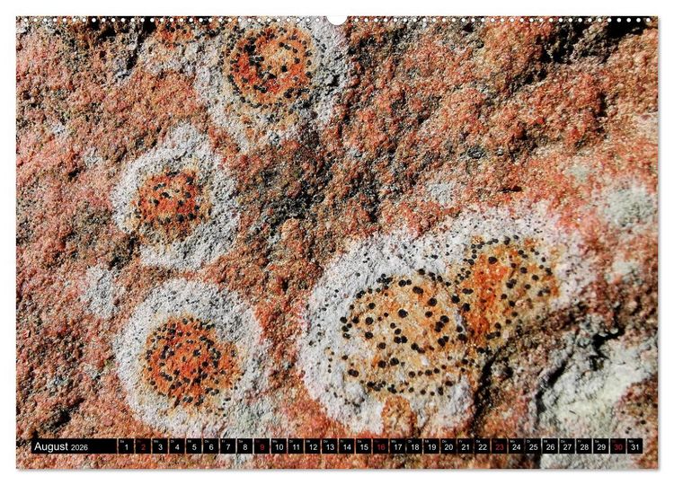 Produktbild: Welt der Flechten (hochwertiger Premium Wandkalender 2026 DIN A2 quer), Kunstdruck in Hochglanz