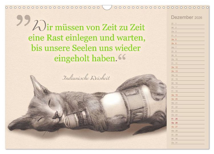 Produktbild: Von Katzen lernen (Wandkalender 2026 DIN A3 quer), CALVENDO Monatskalender