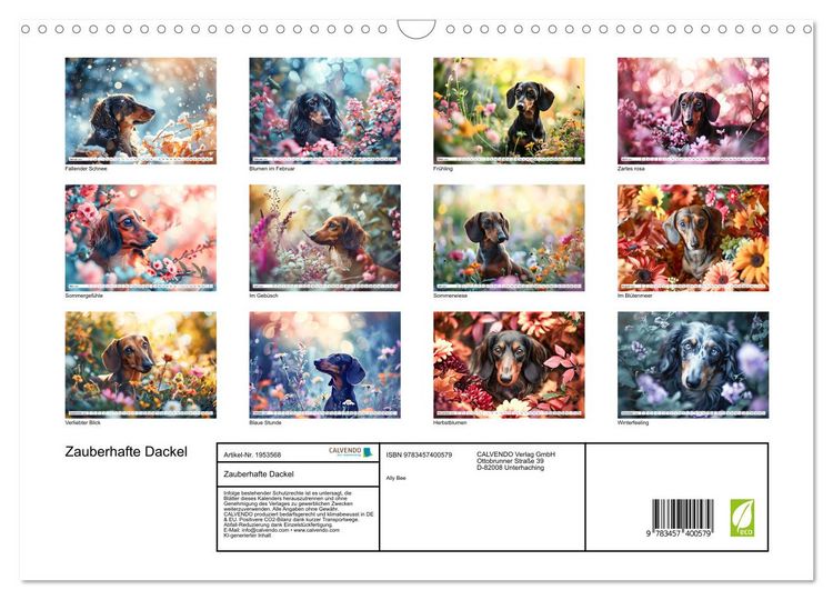 Produktbild: Zauberhafte Dackel (Wandkalender 2026 DIN A3 quer), CALVENDO Monatskalender