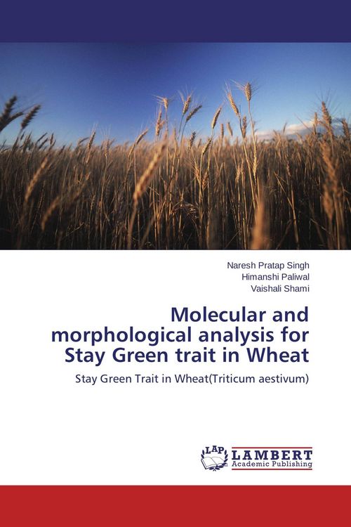Produktbild: Molecular and morphological analysis for Stay Green trait in Wheat