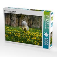 Produktbild: CALVENDO Puzzle Mein Islandhund Djarfur (3) | 1000 Teile Lege-Gr&ouml;&szlig;e 64x48cm Foto-Puzzle f&uuml;r gl&uuml;ckliche Stunden