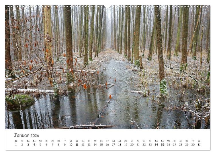 Produktbild: Wald - bezaubernde W&auml;lder (hochwertiger Premium Wandkalender 2026 DIN A2 quer), Kunstdruck in Hochglanz