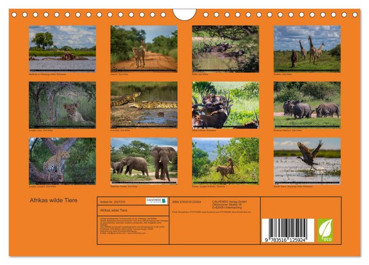 Produktbild: Afrikas wilde Tiere (Wandkalender 2026 DIN A4 quer), CALVENDO Monatskalender