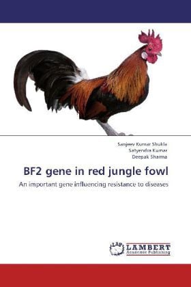 Produktbild: Shukla, S: BF2 gene in red jungle fowl