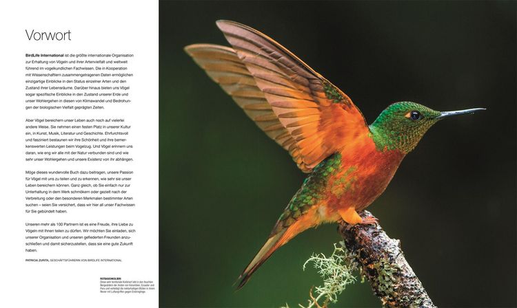 Produktbild: V&ouml;gel