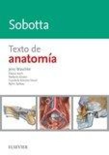 Produktbild: Sobotta : texto de anatom&iacute;a