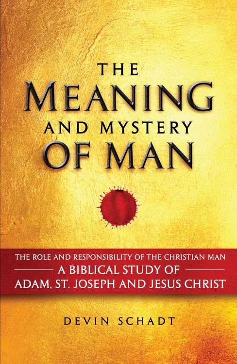Produktbild: Meaning and Mystery of Man