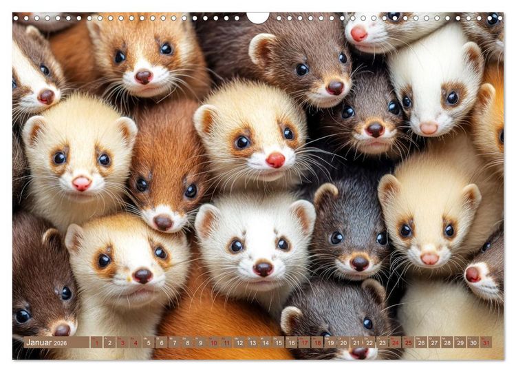 Produktbild: Kuschelblicke (Wandkalender 2026 DIN A3 quer), CALVENDO Monatskalender